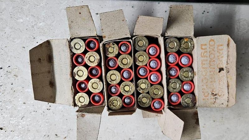 Кубанцу грозит до 8 лет тюрьмы за хранение найденных боеприпасов