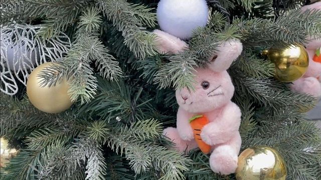 30 декабря в «Городском саду» и «Солнечном острове» откроются новогодние елки. Фото: телеканал «Краснодар»