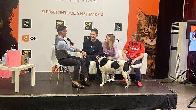 В Краснодаре на фестивале бездомных животных 38 питомцев нашли хозяев