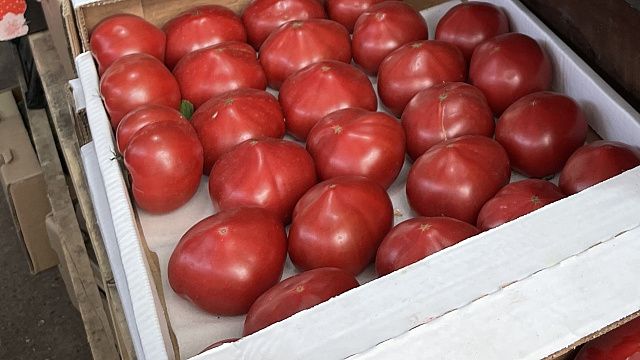 Туапсинский порт отказался принимать 22 тонны томатов из Турции Фото: телеканал Краснодар