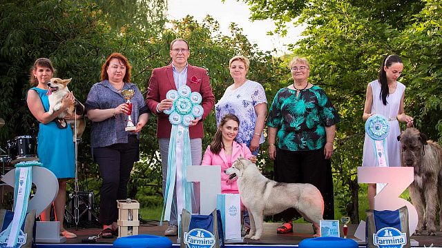 В Абрау-Дюрсо выберут лучшего питомца России на фестивале Dog Picnic