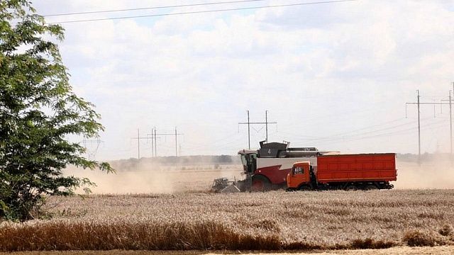 Кубанские аграрии собрали 11,3 миллионов тонн зерна. Фото: пресс-служба администрации Краснодарского края