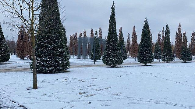 Дождь и мокрый снег пройдут в Краснодаре 11 января