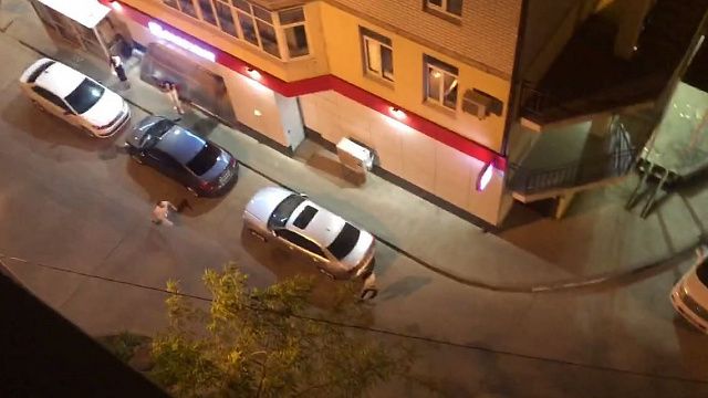 В Краснодаре задержали находящегося в розыске мужчину, который избил девушку и парня. Фото: телеканал «Краснодар»