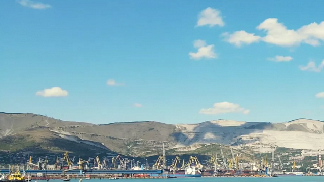 В порту Новороссийска обнаружили карантинный объект, прибывший из Турции. Фото: телеканал «Краснодар»