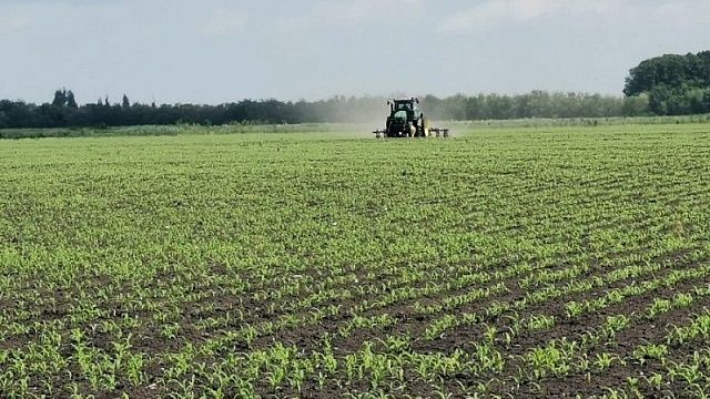 Сельскохозяйственное предприятие на Кубани будет внедрять инструменты бережливого производства
