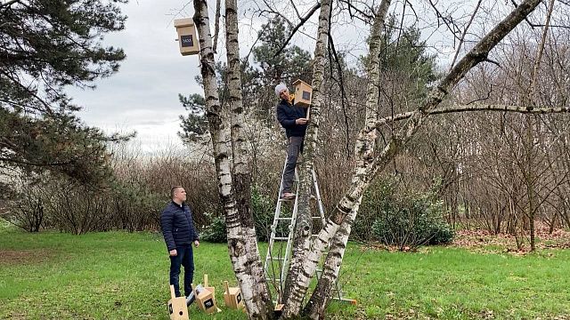 В краснодарском дендрарии повесили скворечники на деревья. Фото: телеканал «Краснодар»
