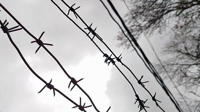 Фото: телеканал «Краснодар» Фото: телеканал «Краснодар»