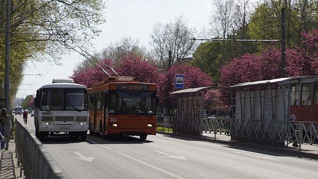 В Краснодаре на маршруте № 89 появятся новые автобусы 