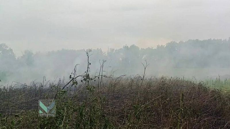 23 и 27 ноября в пригороде Краснодара будут сжигать рисовую солому