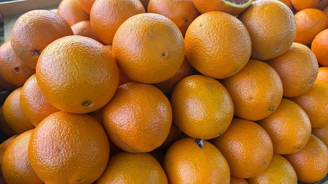 Фото: телеканал «Краснодар»