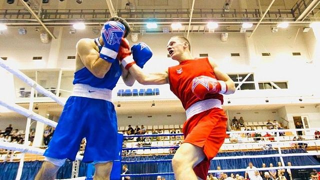 В Анапе проходят соревнования по боксу. Фото: пресс-служба администрации Краснодарского края. 