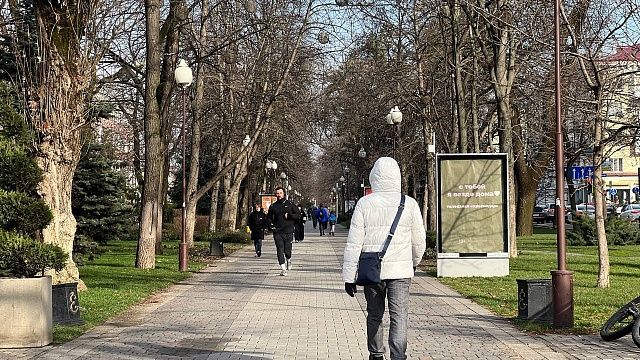 Весна близко: в начале рабочей недели в Краснодаре будет 20°