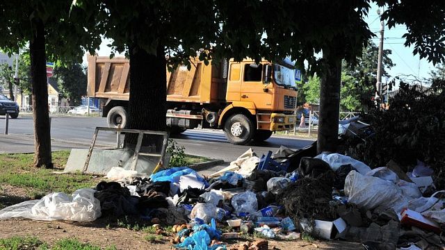 Краснодарские волонтёры объявили старт сезона уборок