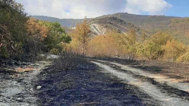 В Геленджике беспилотники продолжают искать очаги лесного пожара Фото: добровольцев