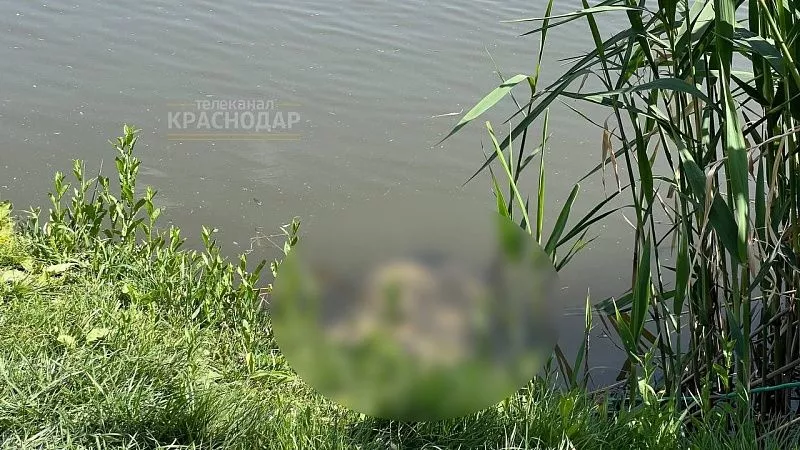 Спасатели призывают к безопасности на воде после несчастного случая в Краснодаре
