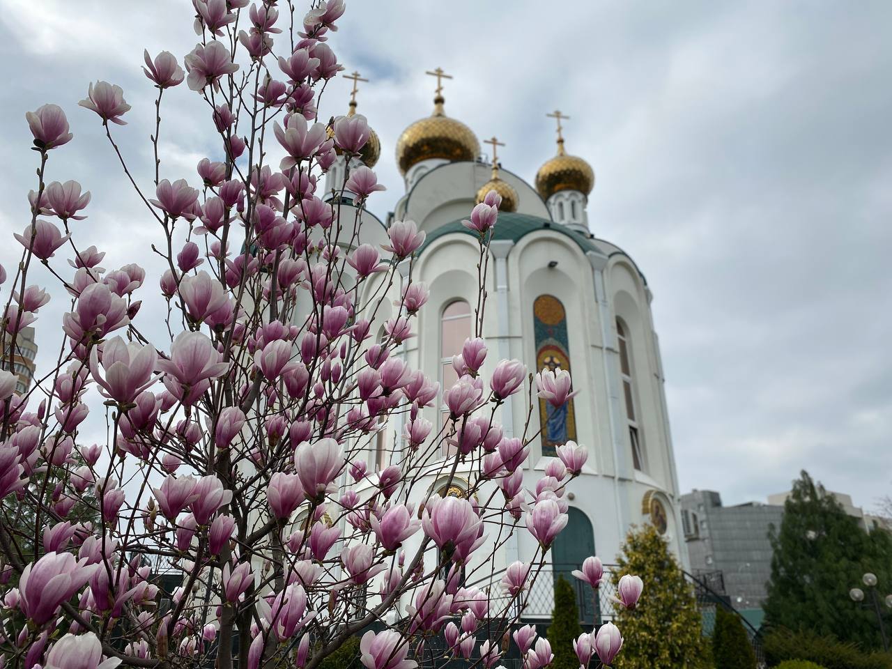 В День памяти Петра и Февронии в Краснодаре проведут экскурсии по двум  главным храмам. 27.06.2023 г. Телеканал «Краснодар»