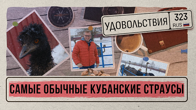 «СЕЛЬСКИЕ ИСТОРИИ» - Страусы