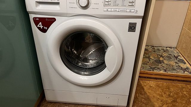 Кот плескался 10 минут в стиральной машине и выжил в Китае