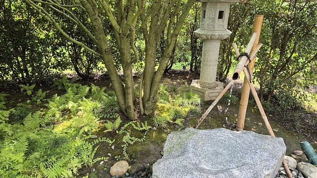 Сухая, малооблачная, но ветреная погода ждет 16 августа жителей Кубани