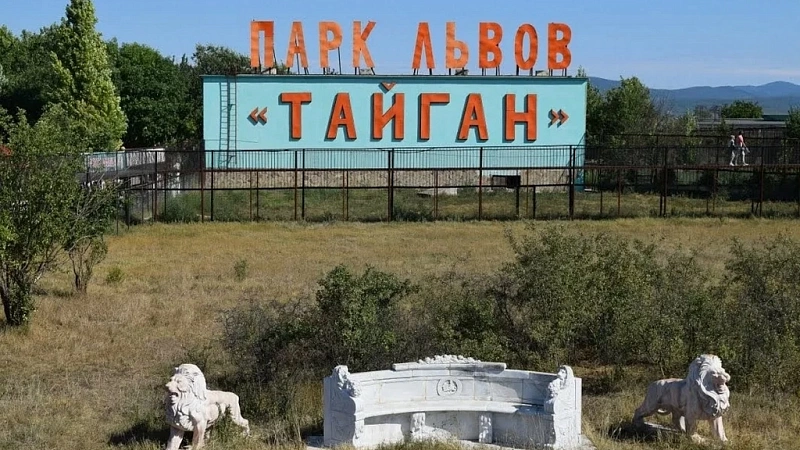 Опубликовано видео, снятое незадолго до нападения львов на Зубкова в Крыму