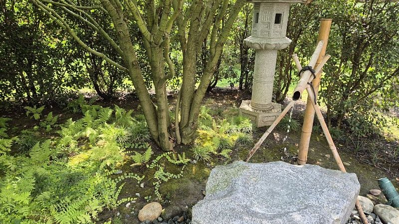 Сухая, малооблачная, но ветреная погода ждет 16 августа жителей Кубани