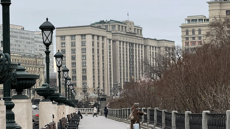 В правительстве одобрили запрет на ВНЖ семьям бойцов СВО за связь с экстремизмом