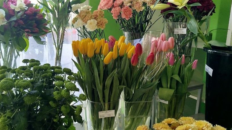 Выручка от продажи цветов на 8 марта вырастет до 70 млрд в России 