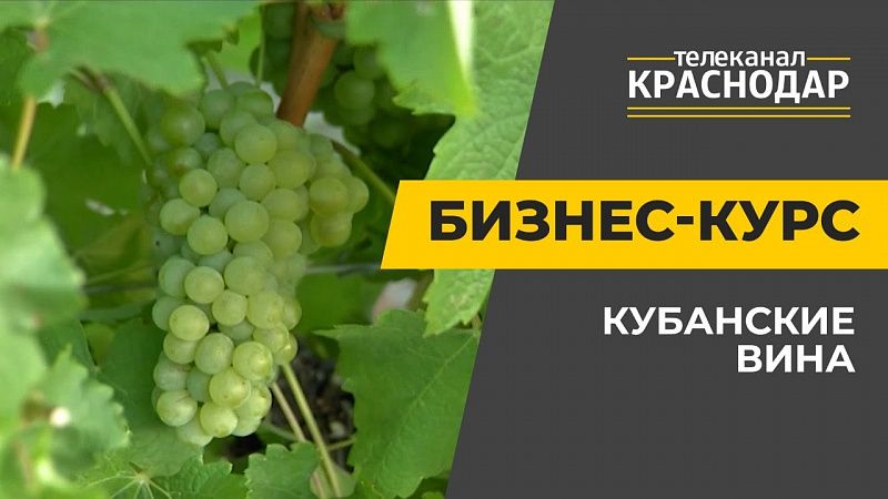 Кубанские вина