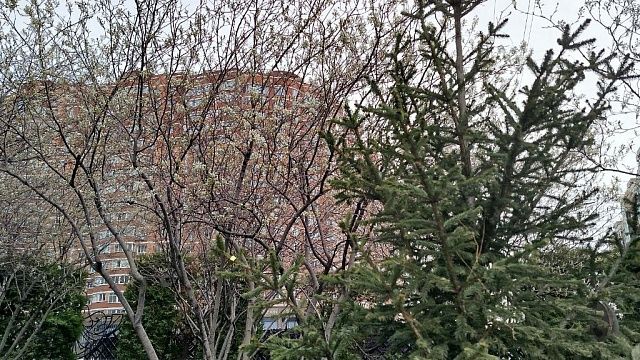 Фото: телеканал «Краснодар» 