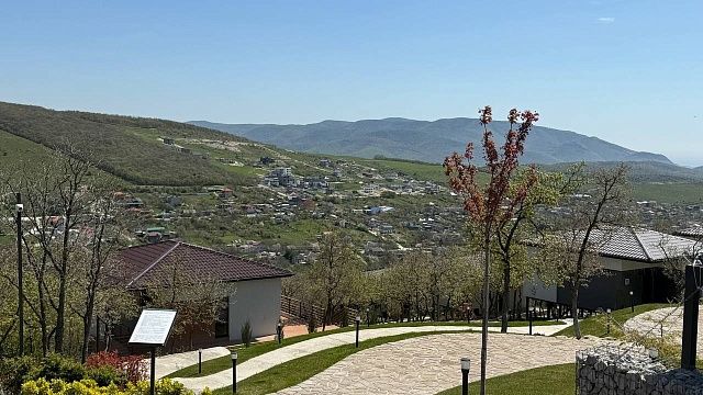 Фото: телеканал «Краснодар» 