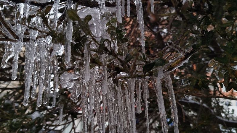 Синоптик Тишковец предупредил о гололедице и мокром снеге в регионах России