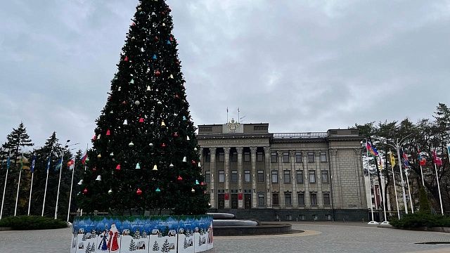 Фото: Вероника Новокрещеннова