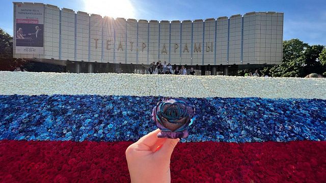 30 тысяч роз для инсталляции в Краснодаре спасены от утилизации Фото: Телеканал «Краснодар» (архив)