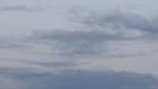 Фото: телеканал «Краснодар»