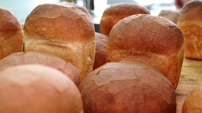 Хлеб из сверчков, водорослей и грибов научились печь ученые в Челябинске 