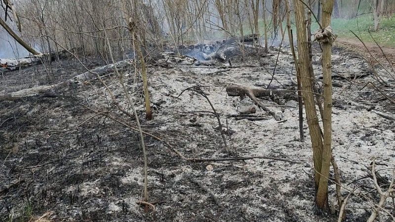 Пожарные потушили возгорание в Киргизских плавнях под Краснодаром