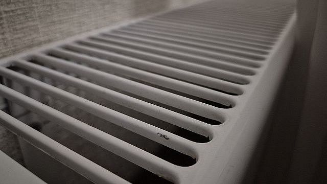 Фото: телеканал «Краснодар»