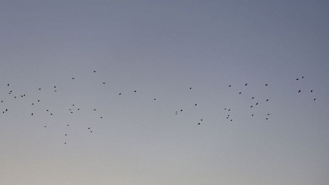 Фото: телеканал «Краснодар»
