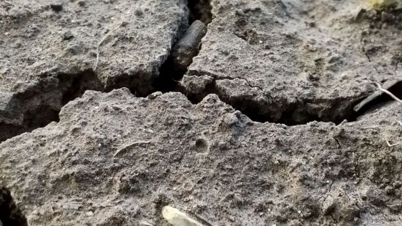 Учёные предупредили, что США угрожают мощное землетрясение и 30-метровое цунами