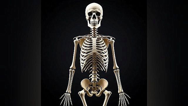 изображение создано при помощи ИИ