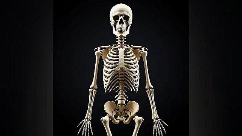 Тело пропавшего в 1959 году британского метеоролога Белла нашли в Антарктиде