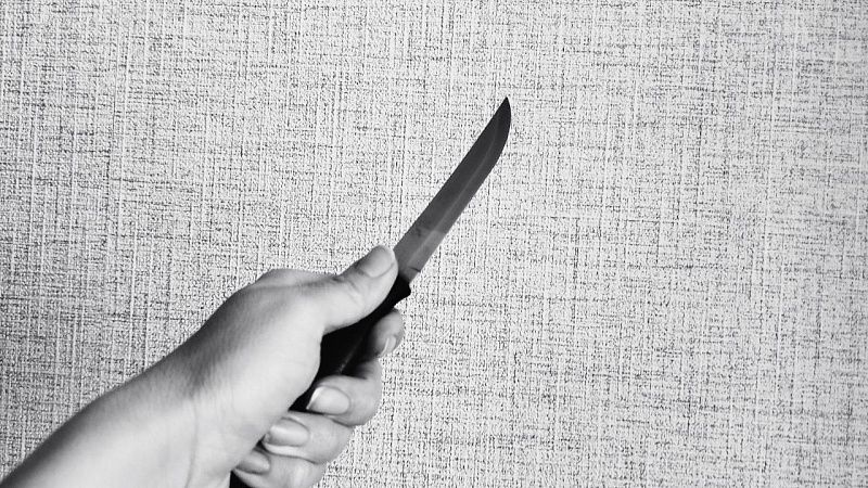 Ранившую ножом одноклассницу девочку отправили под арест в Кодинске