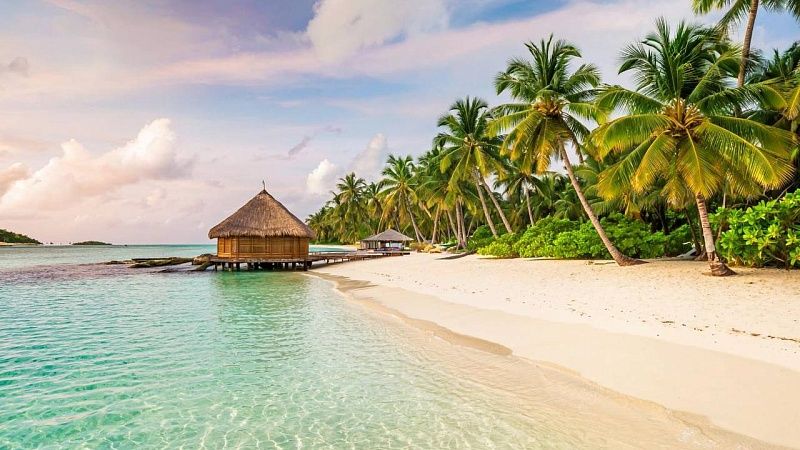 Ларису Гузееву проверяют на Бали по делу о мошенничестве с виллами на 28 млрд рублей