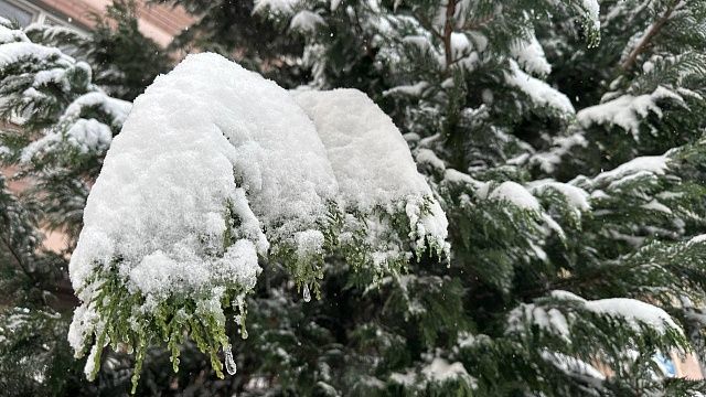 Фото: телеканал «Краснодар»