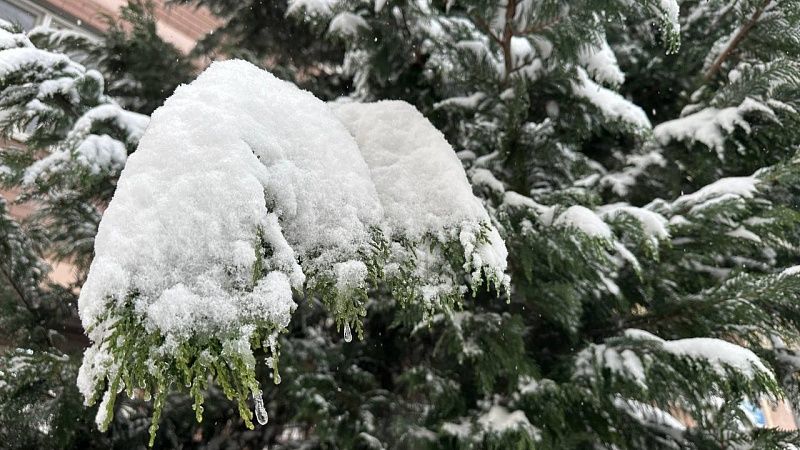 До –13 градусов опустится температура воздуха 14 января в Краснодаре