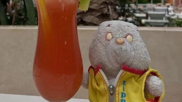 У туристки украли рюкзак с 40-летним плюшевым медведем в Испании