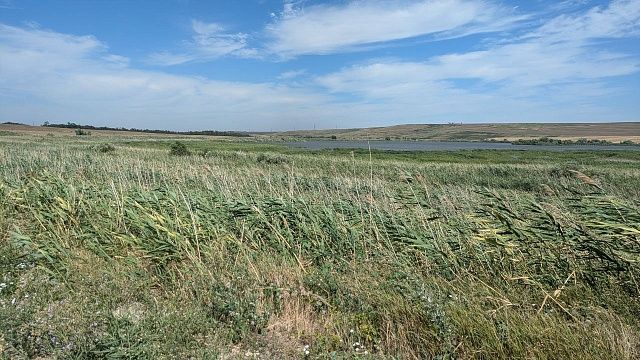 Профессор Погорелов рассказал о последствиях глобального потепления на Кубани