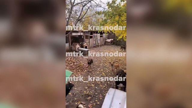 Фото: телеканал «Краснодар»