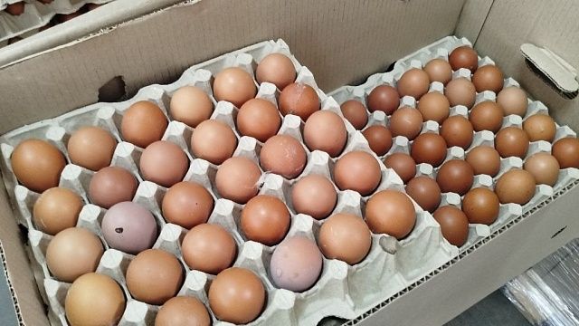 Туристы сняли на видео приготовление яичницы на раскаленной уличной тумбе в Сочи